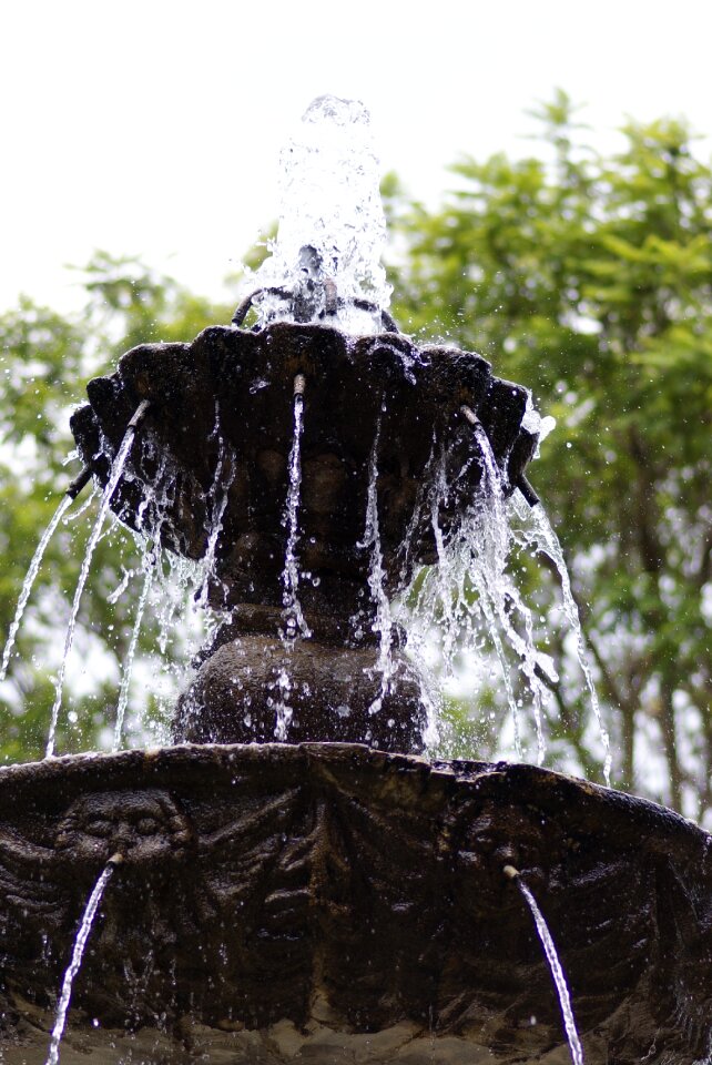 Water jets gardens
