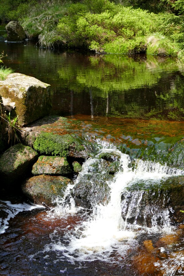 Idyll waters splash