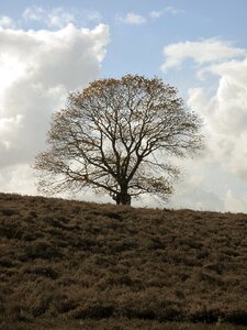 Landscape netherlands air