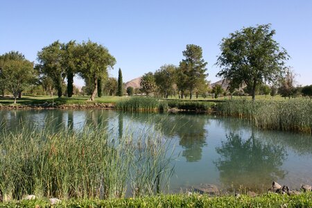 Pond drought