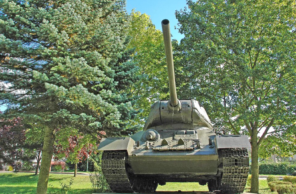 Armored pipe chains trees