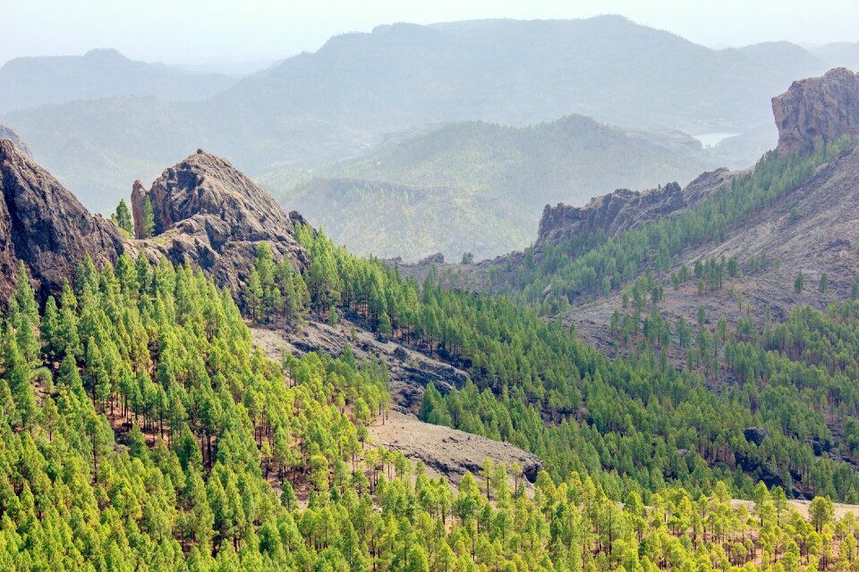 Canary islands excursion gran canaria