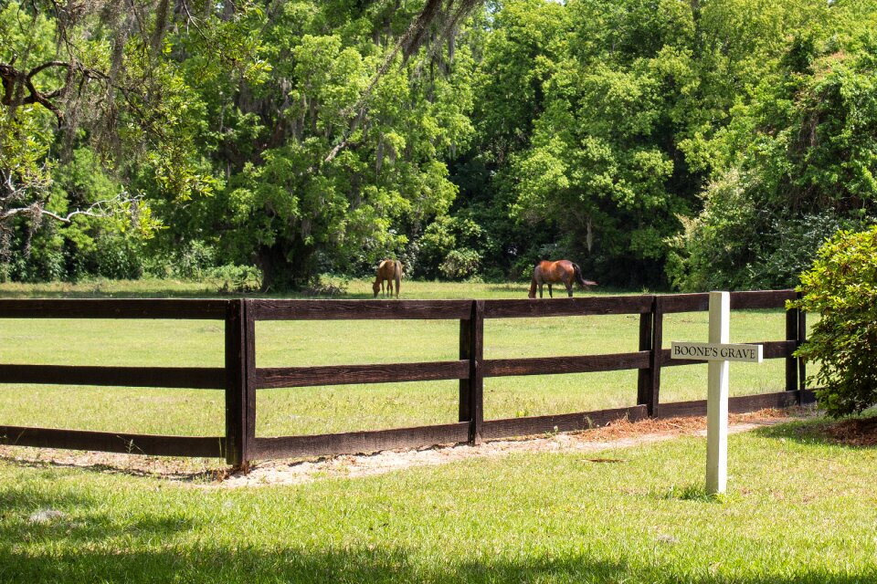 Fence landscape scenery