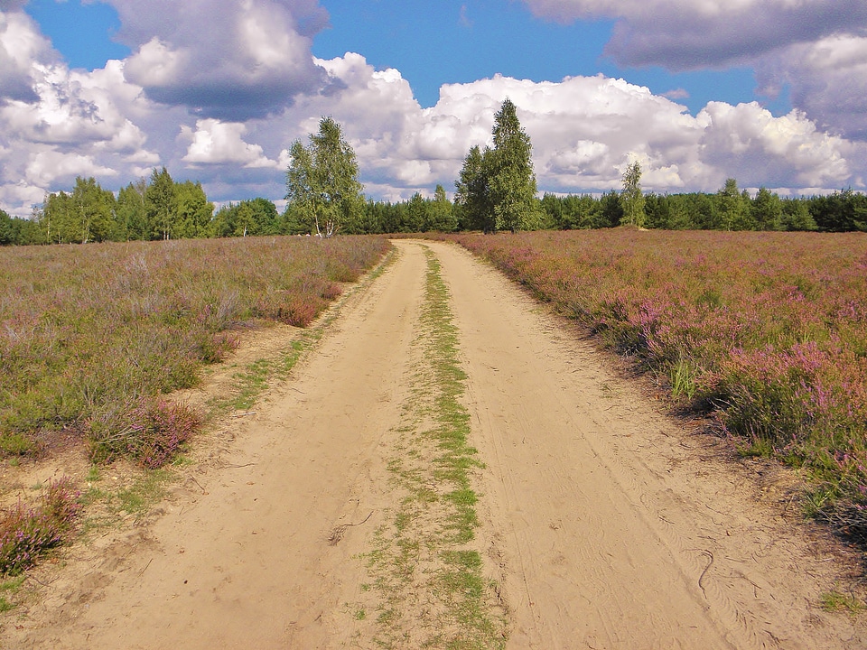 Sand road nature hiking