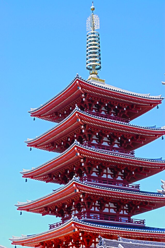 Roof ceilings houses