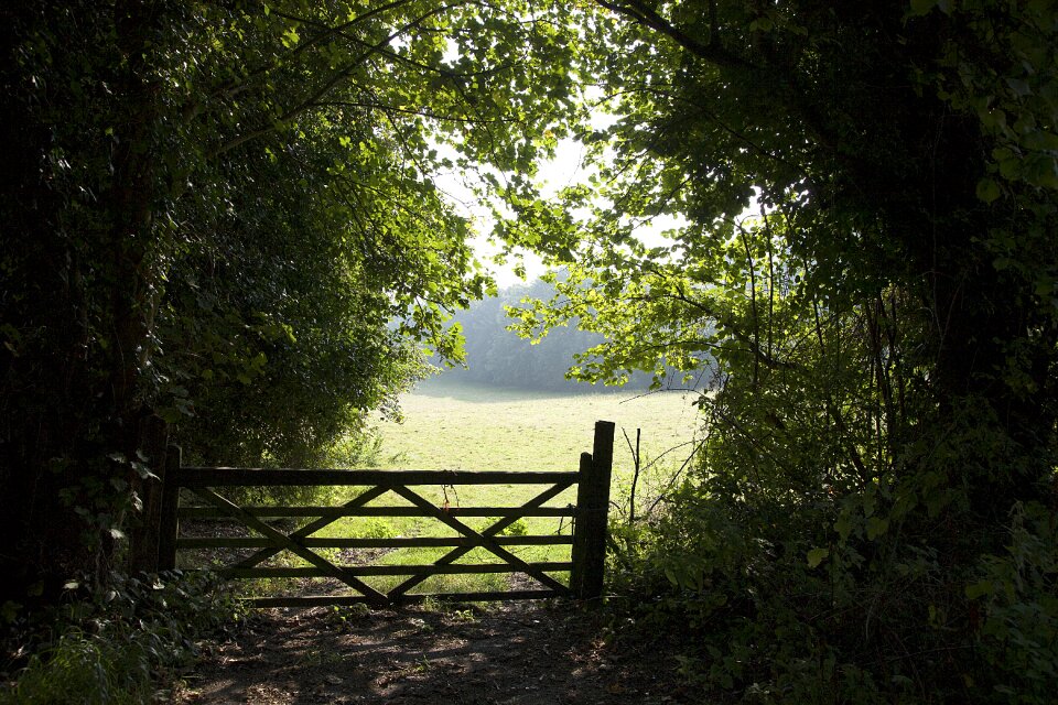 Green nature countryside scenery