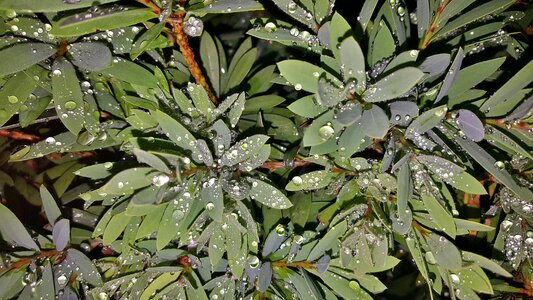 Wet water water droplets