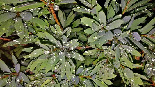 Wet water water droplets photo