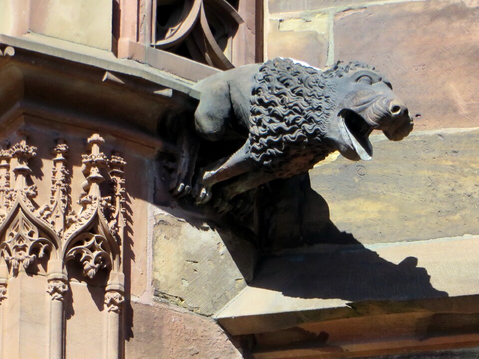 Gargoyle architecture gothic