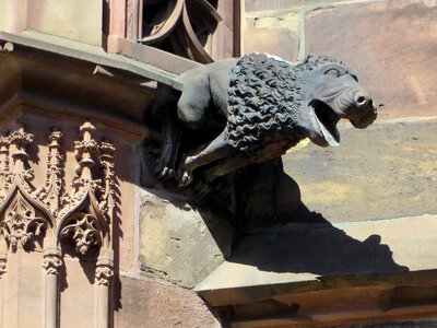 Gargoyle architecture gothic