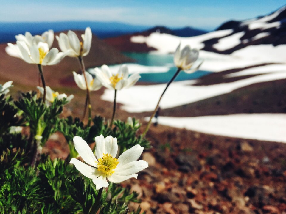 Glacier lake oregon