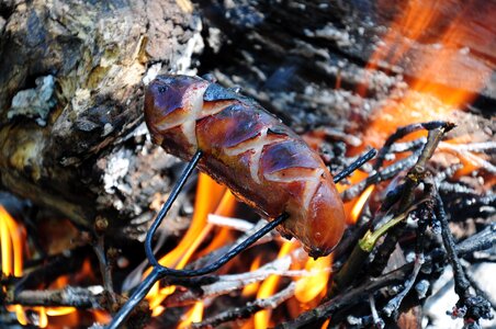 Tidbit food an outbreak of sausage