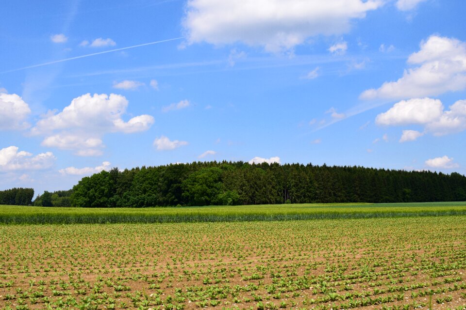 Arable green construction sky