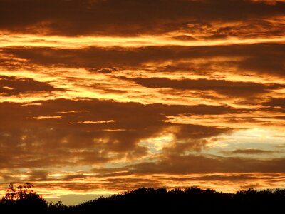 Sunset orange sky photo