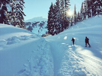 Season winter xcountry photo