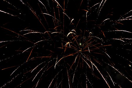 Fireworks festival night