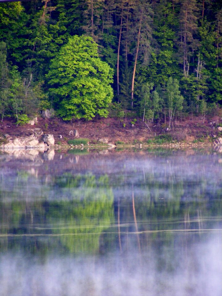 Lichtspiel purple fog photo