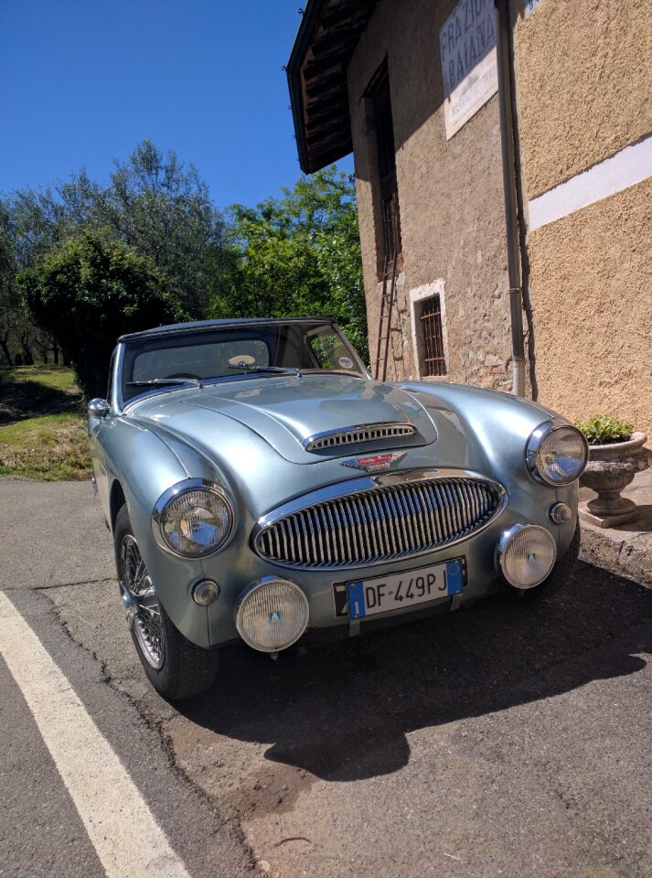 Austin healey convertible