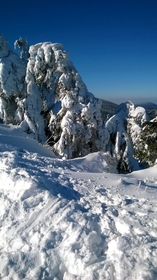 Frost rime mountains photo