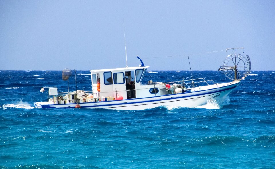 Mediterranean cyprus