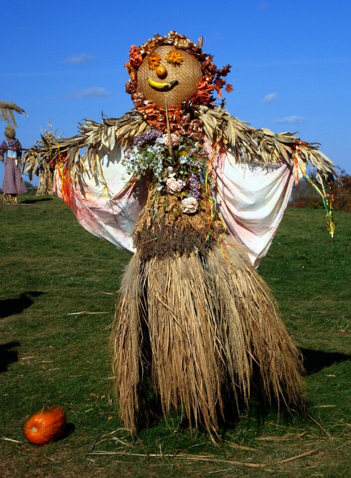 Seasonal holiday harvest