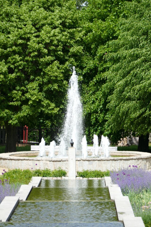 Bach water basin places of interest