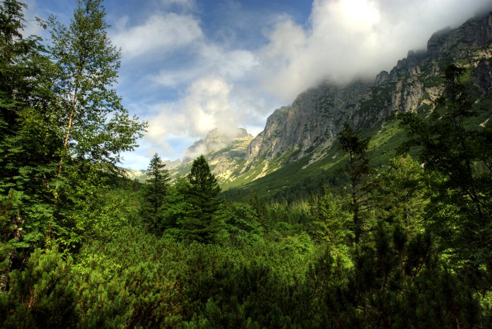 Top view mountains nature