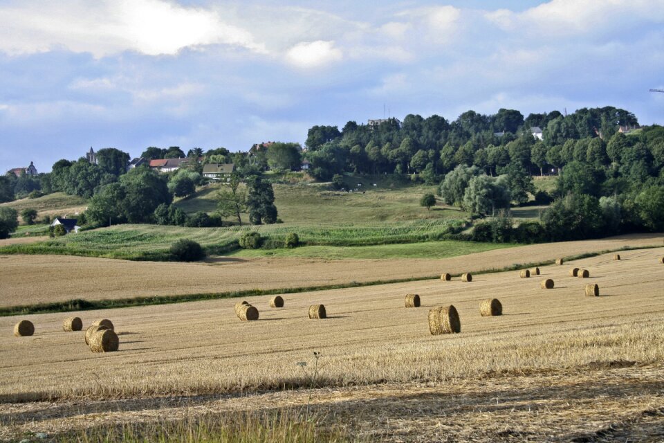 Farming landscape agriculture
