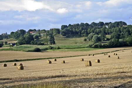 Farming landscape agriculture