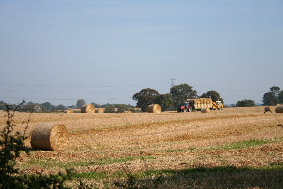 Farming normandy rural