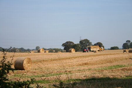 Farming normandy rural