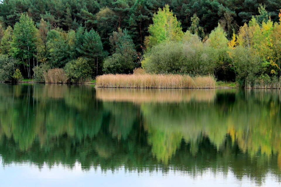 Water reflection mirroring