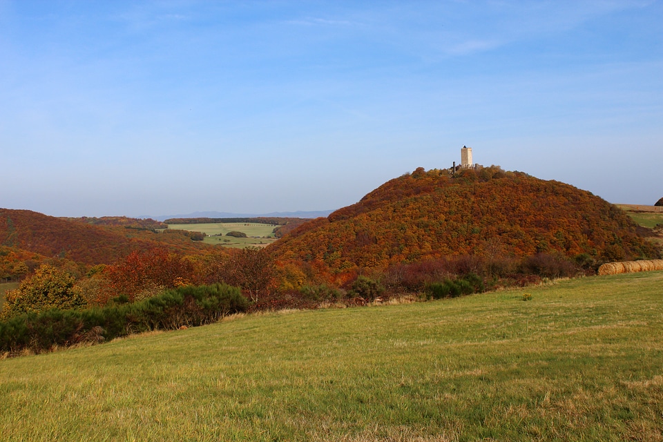 Meadow brohltal autumn photo