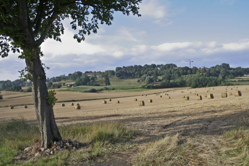 Countryside landscape