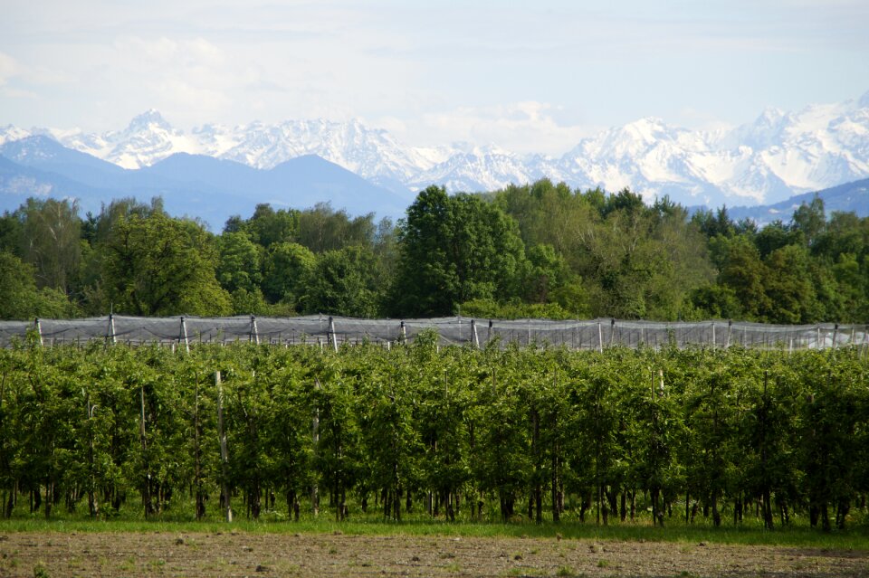 Agriculture mountains alpine