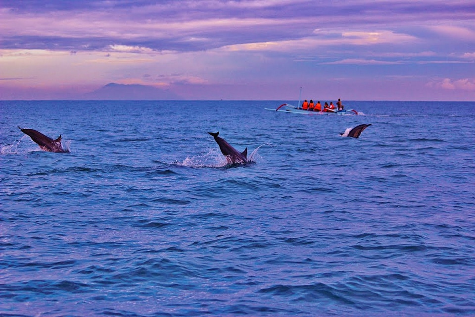 Lovina indonesia ocean