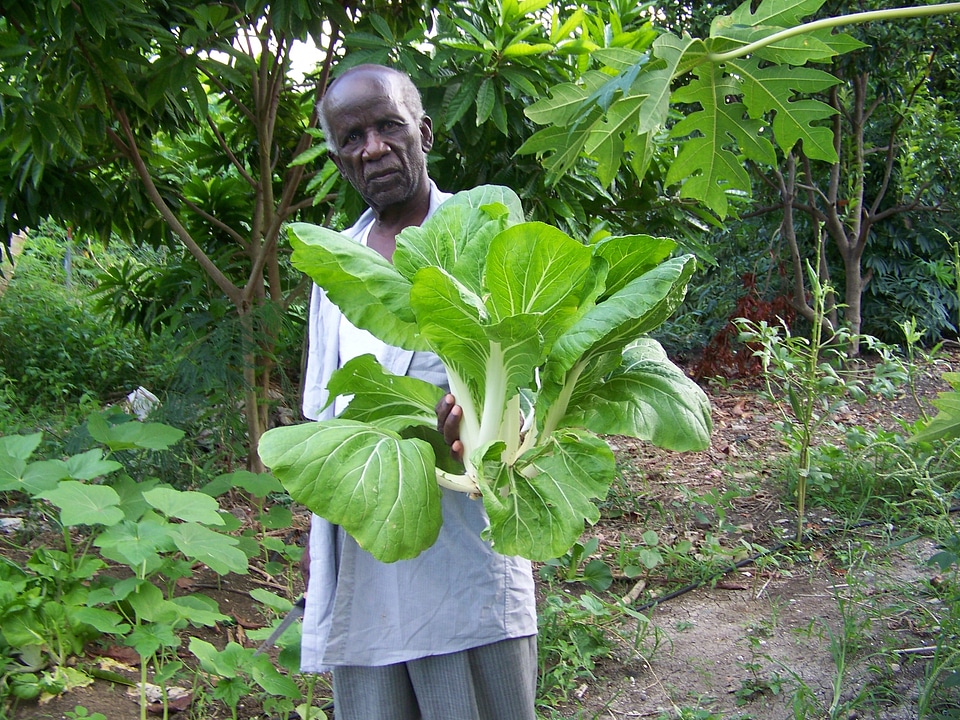 Aged senior old-age pensioner
