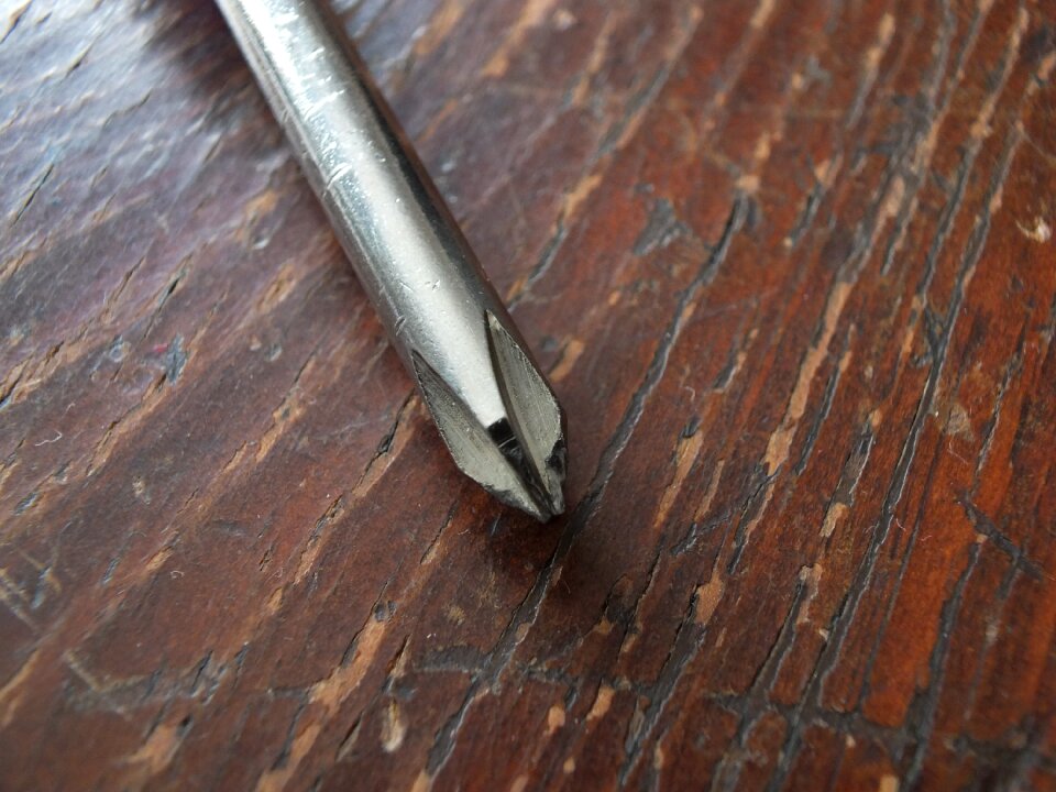 Starhead macro photo