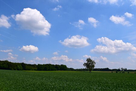 Blue landscape nature