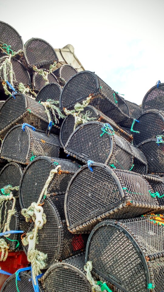 Fishing seafood stack