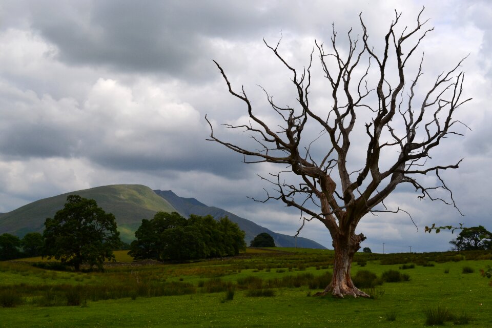 Nature landscape scenic