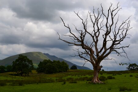 Nature landscape scenic