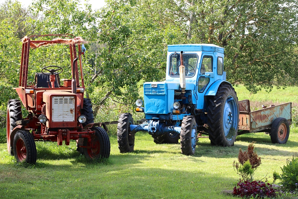 Transport summer work