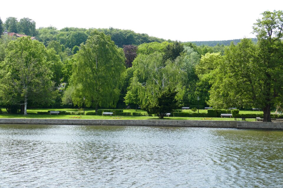 Bank nature landscape