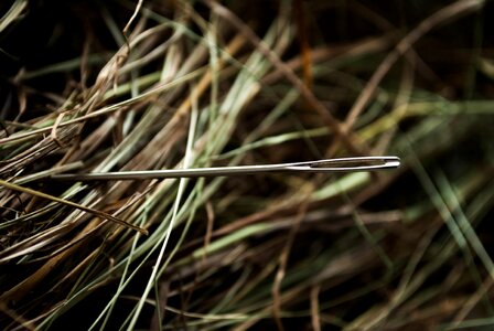 Hay needle in a haystack metaphor