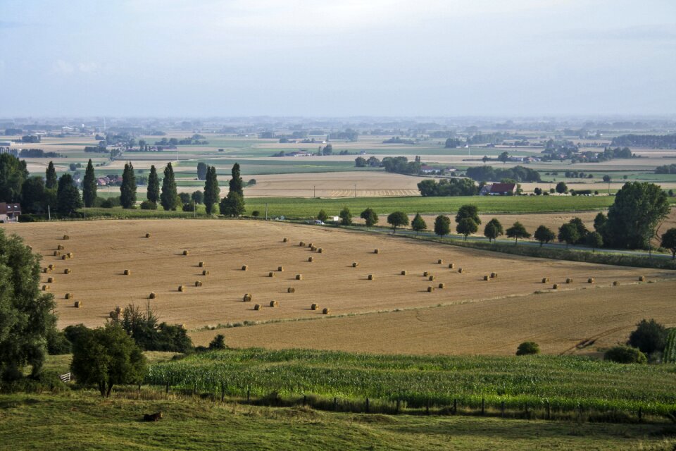 Harvest agriculture farmland
