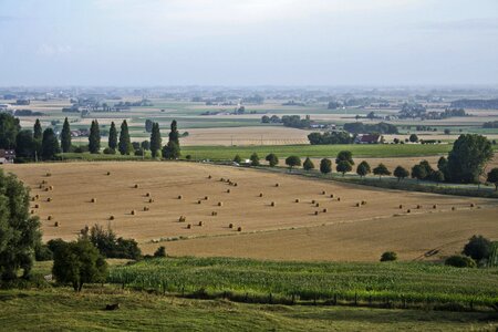 Harvest agriculture farmland