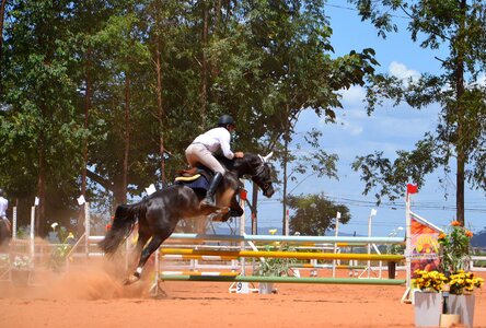 Proof equestrianism championship