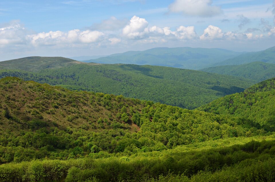 Nature top view poland