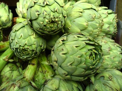 Vegetable nature